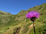 16 Prima in saliscendi poi in decisa salita